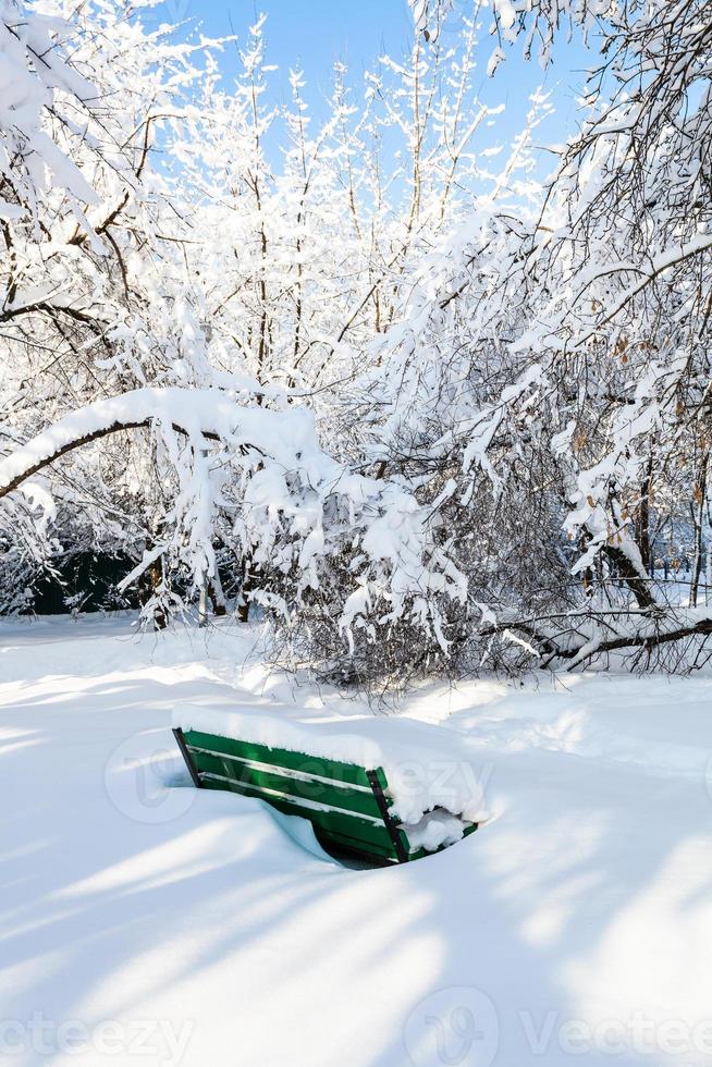 banco verde no jardim urbano coberto de neve no inverno foto