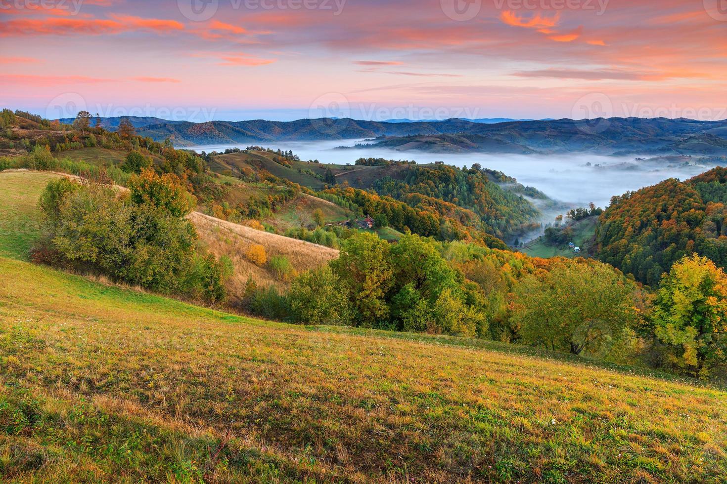 floresta de outono colorida e nevoeiro vila holbav, Transilvânia, Romênia, Europa foto