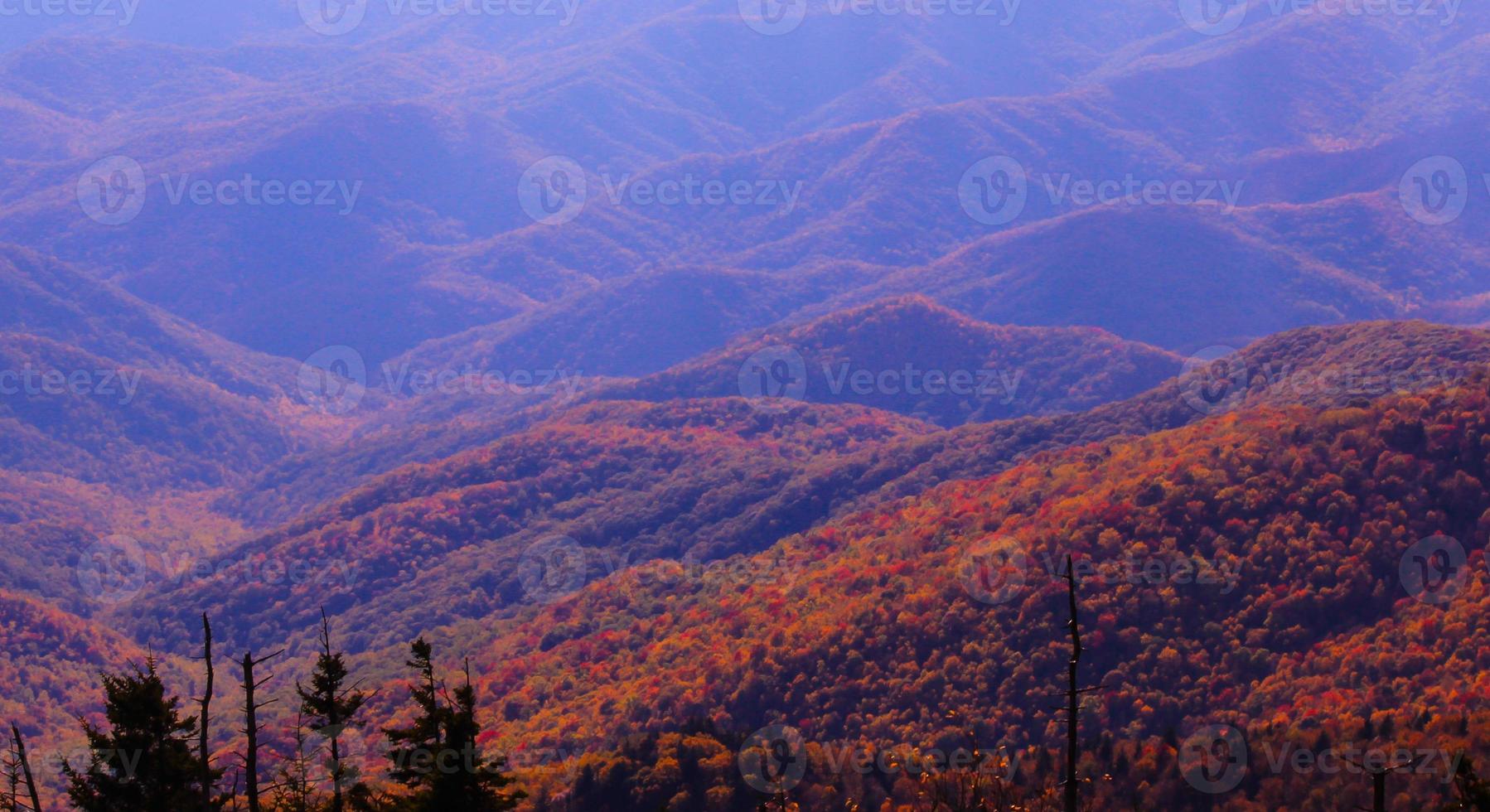 cores vibrantes do outono em smokies, tennessee foto