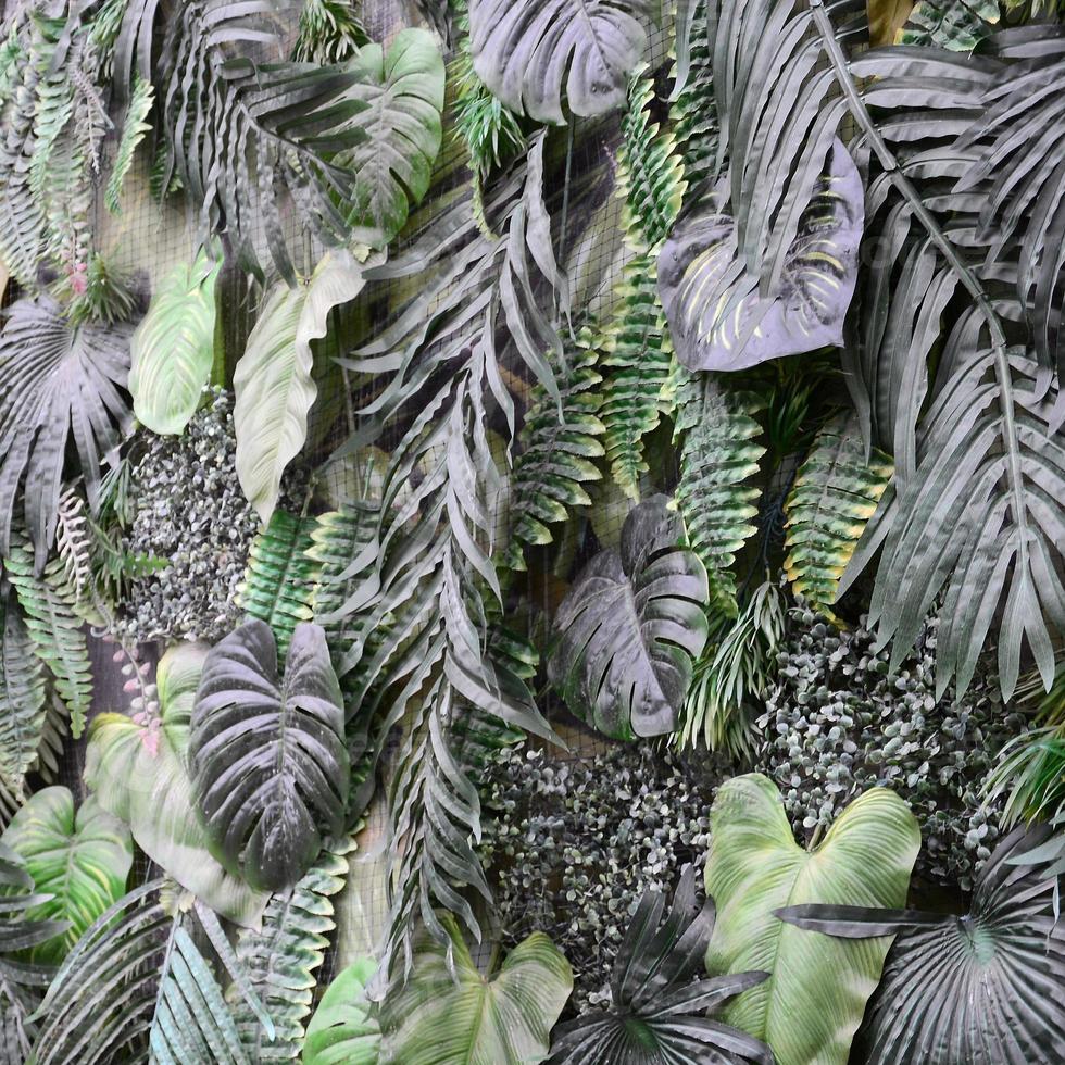 fundo de folhas verdes tropicais, samambaia, palmeira e folha de monstera deliciosa na parede foto