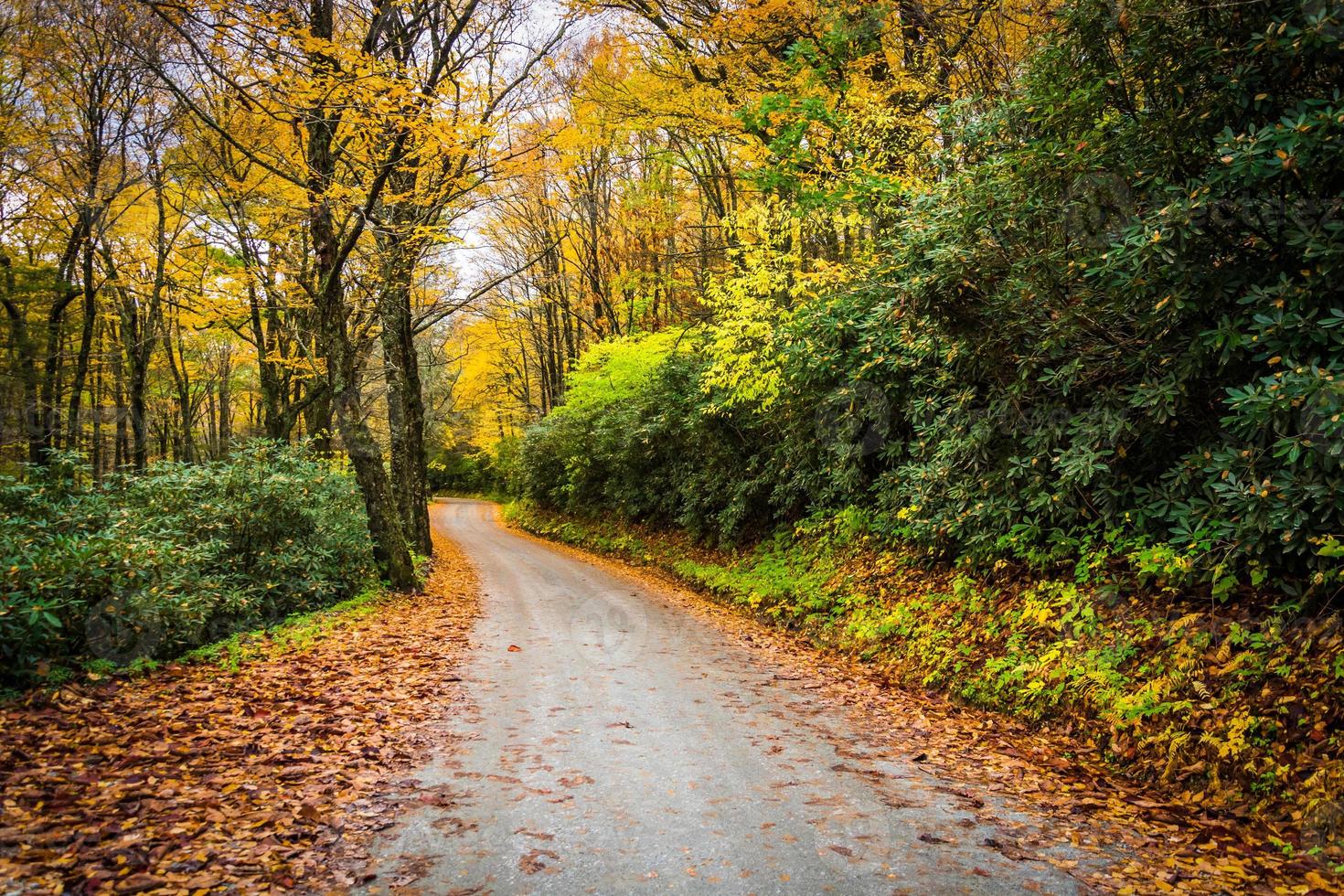 cores do outono ao longo de uma estrada de terra perto da avenida Blue Ridge foto