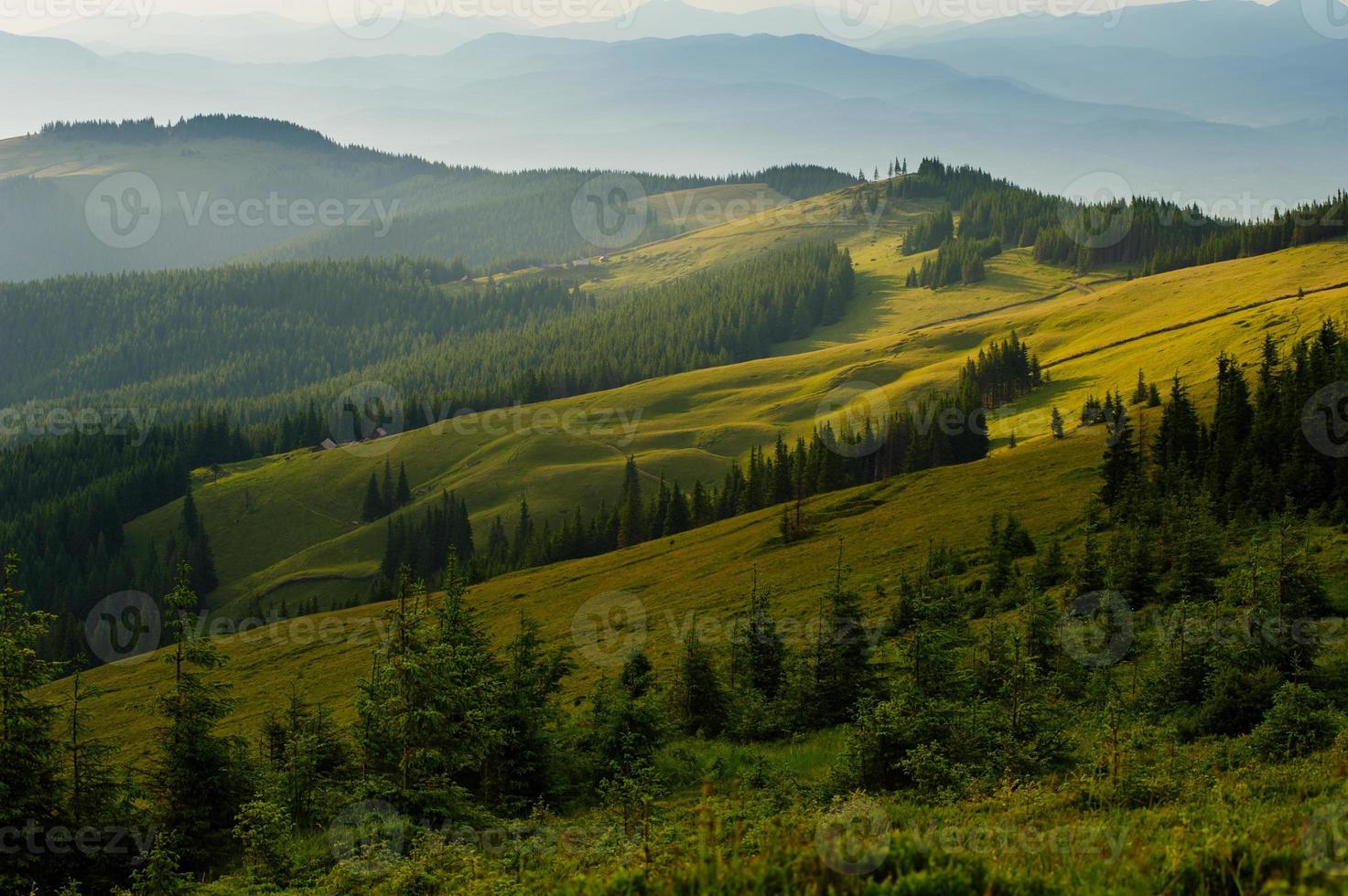 Montanhas carpathian foto