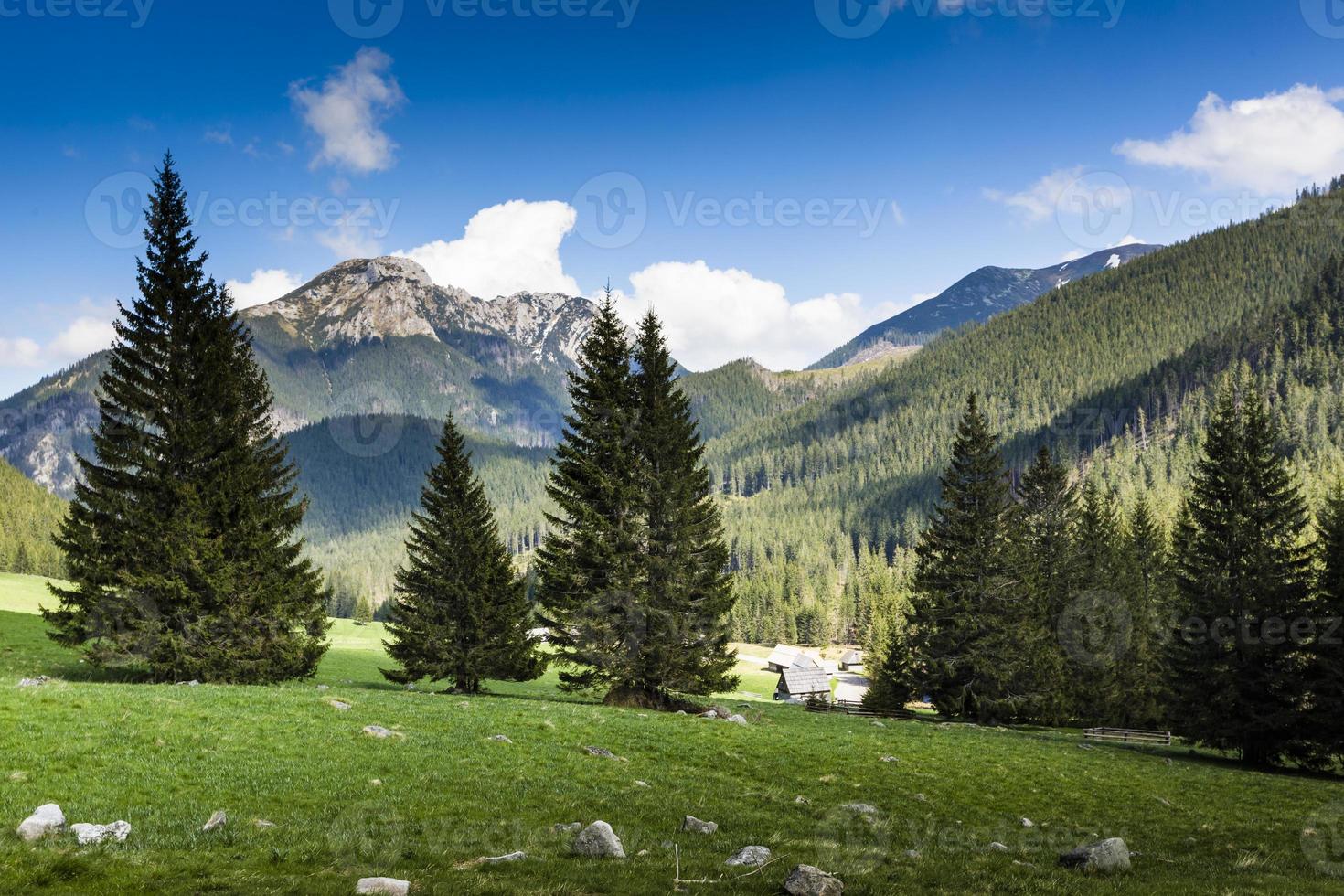vale de chocholowska, montanhas tatra, polônia foto