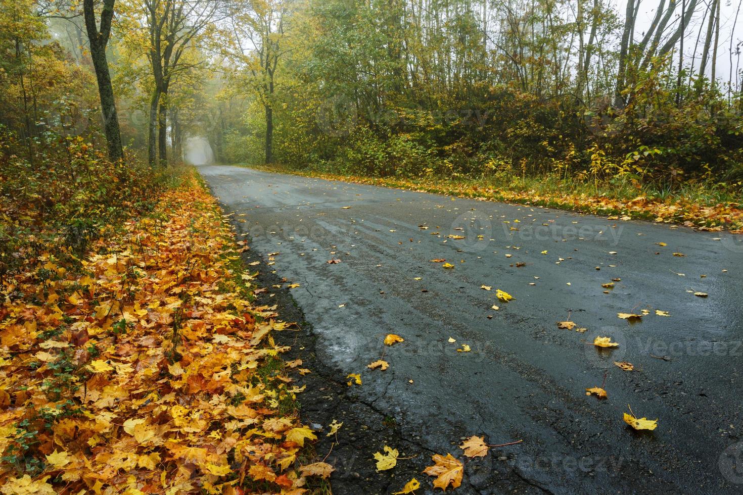 estrada da montanha no outono foto
