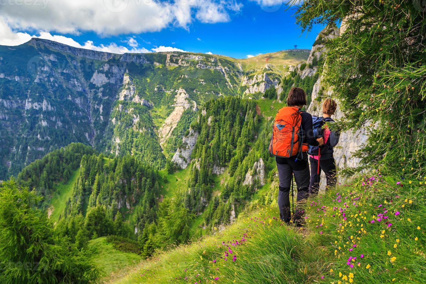 caminhantes de mulher jovem caminhando nas montanhas, bucegi, cárpatos, transilvânia, romênia foto