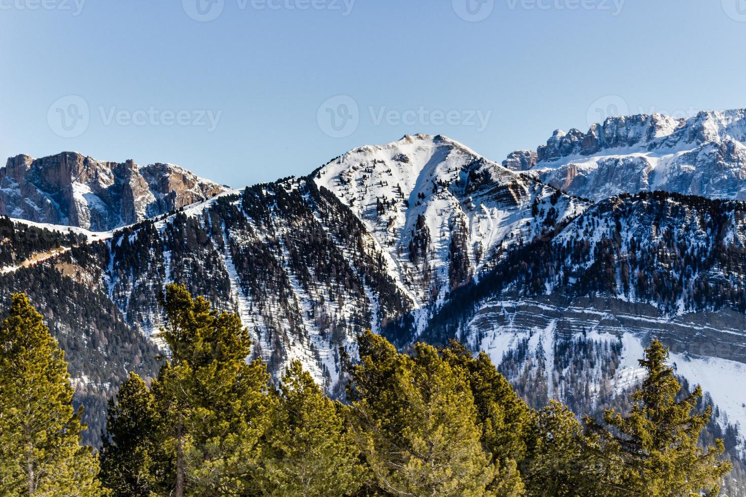 panorama das dolomitas com picos nevados e coníferas foto