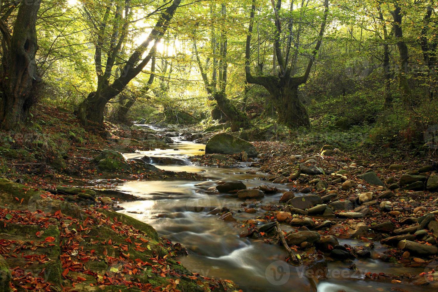 rio da montanha no final do outono foto