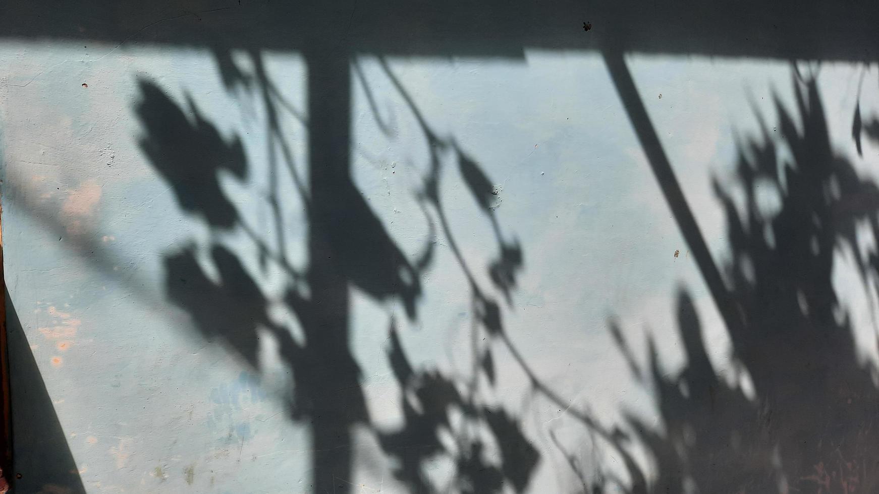 fundo de sobreposição de sombra com sombra de folha foto