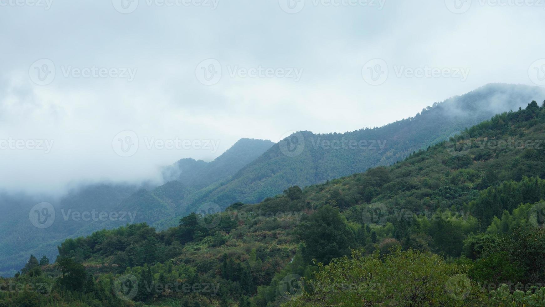 a bela vista da vila tradicional chinesa com a arquitetura clássica e árvores verdes frescas como pano de fundo foto