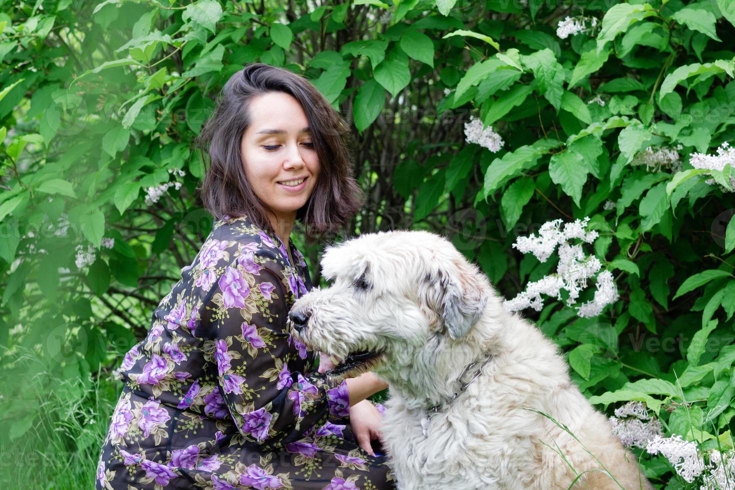 retrato de mulher jovem e bonita com cão pastor do sul da Rússia em um fundo de parque de verão com arbustos lilás florescendo. foto