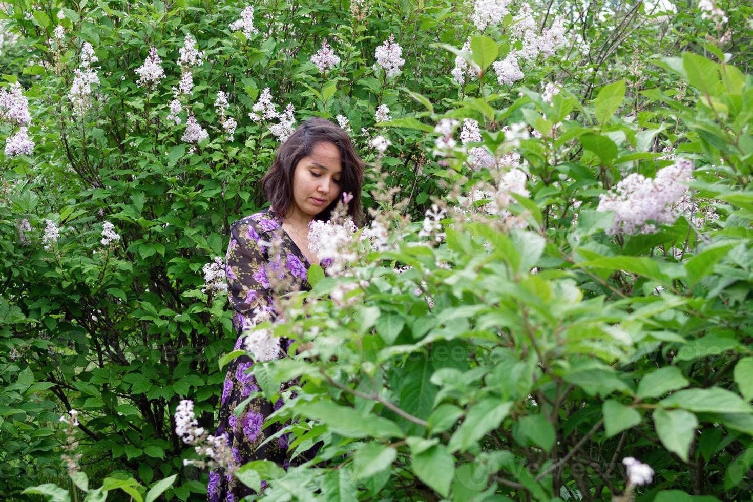 retrato de mulher jovem e bonita no vestido preto-roxo em um jardim com arbustos lilás florescendo. foto