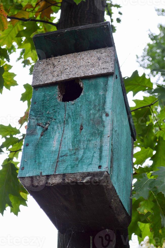 casa de passarinho turquesa em um fundo de folhas verdes e céu. foto