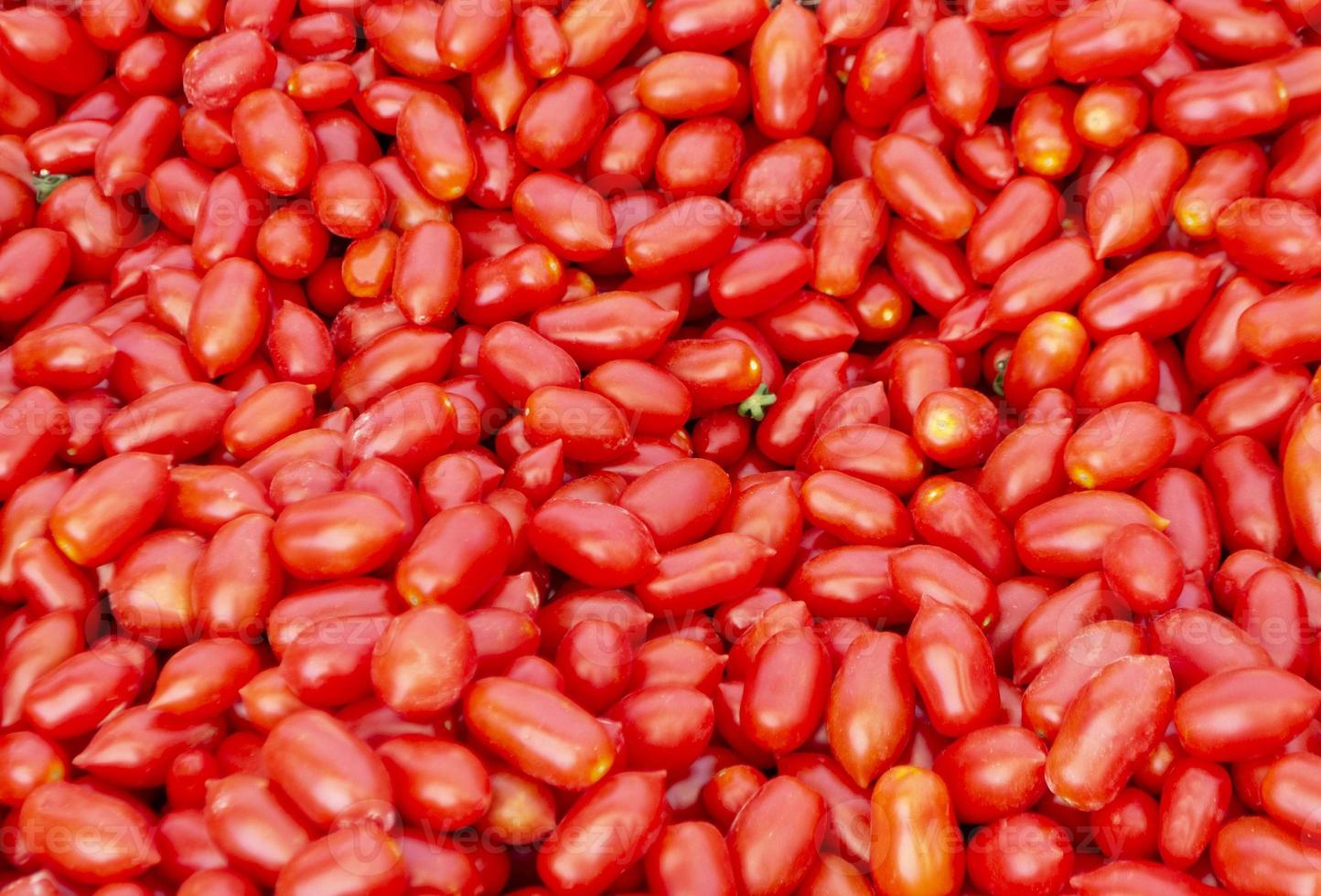 fundo de tomates no mercado agrícola foto