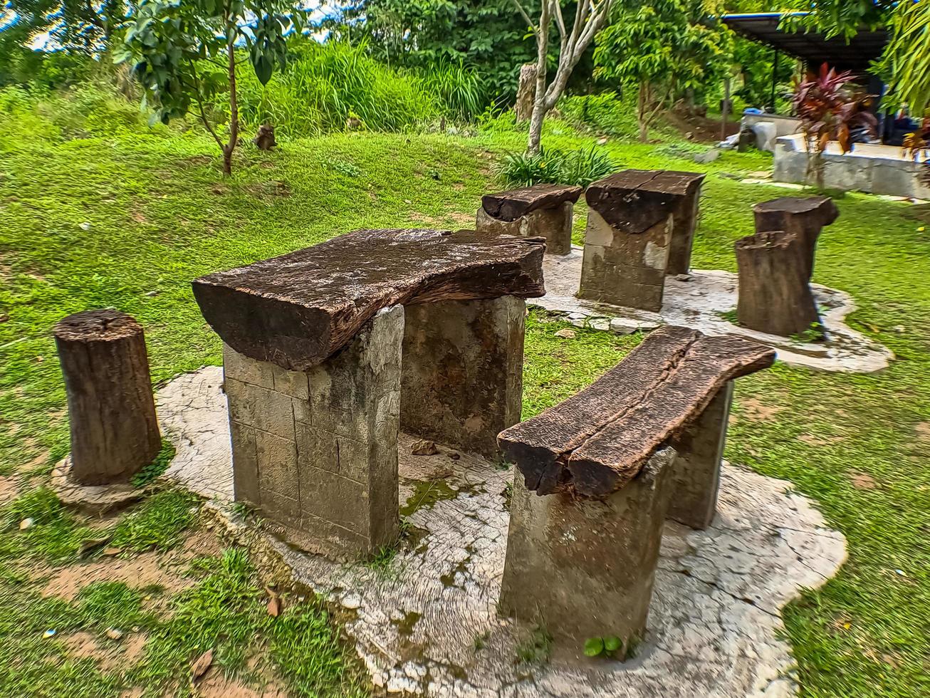 cadeiras e mesas feitas de peças de madeira no jardim do hospital foto