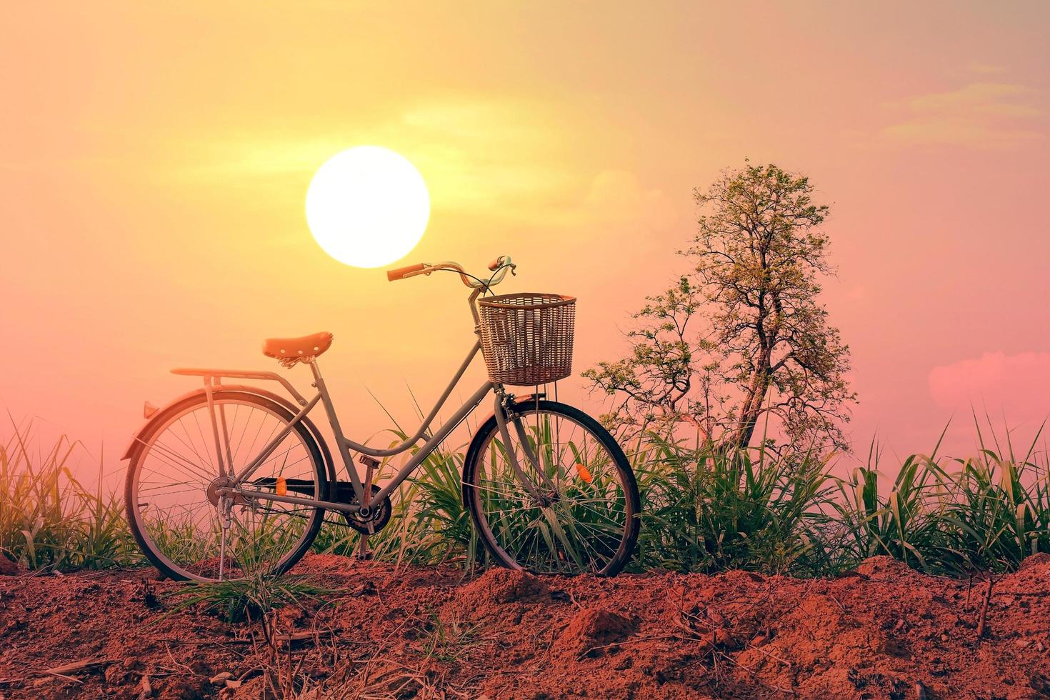 bicicleta vintage ao pôr do sol foto