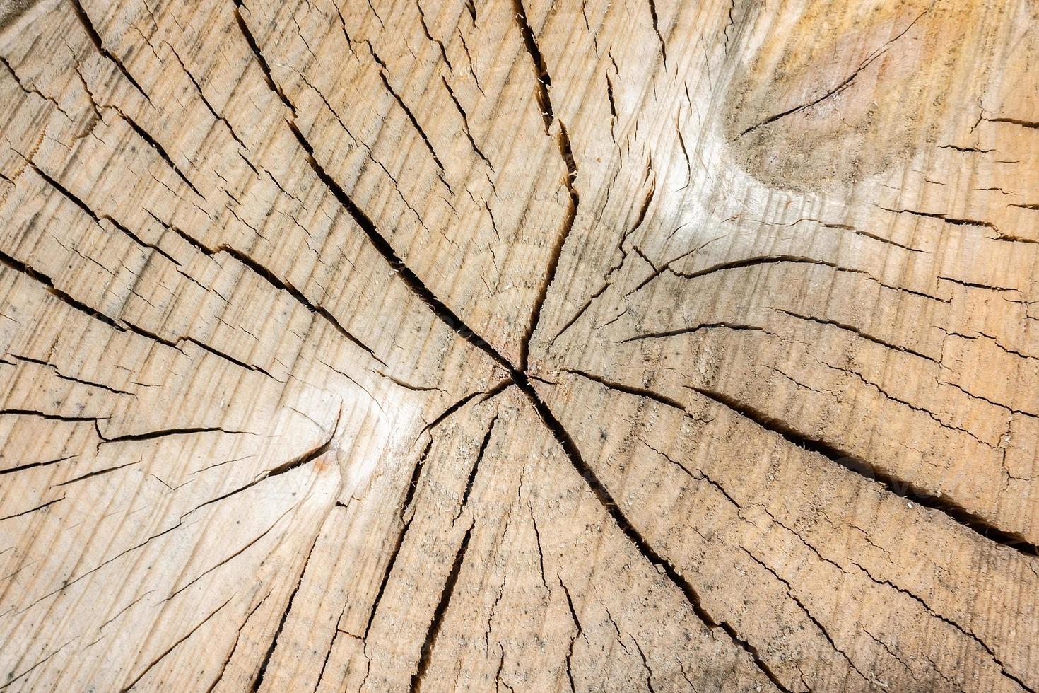 textura de madeira, fundo de madeira foto