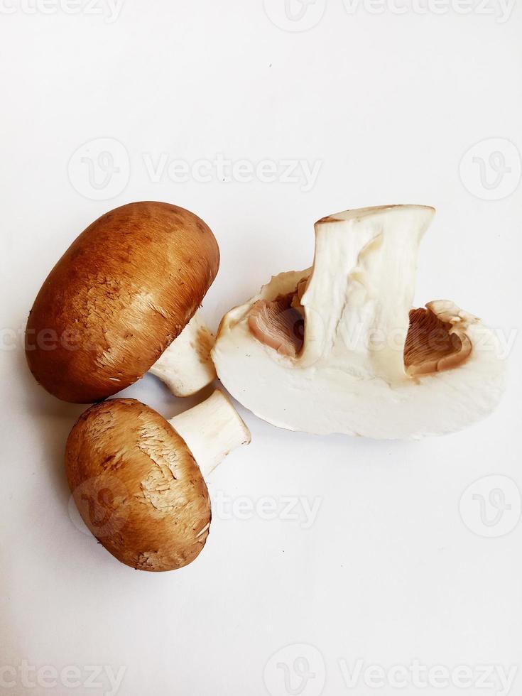 cogumelos frescos. champignons, ingredientes para cozinhar foto