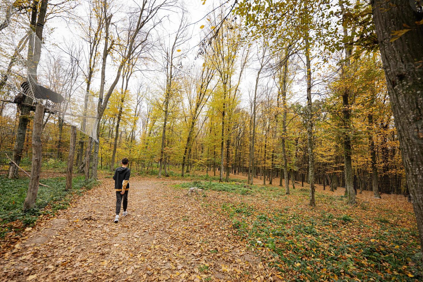 menino em uma caminhada na floresta de outono. foto