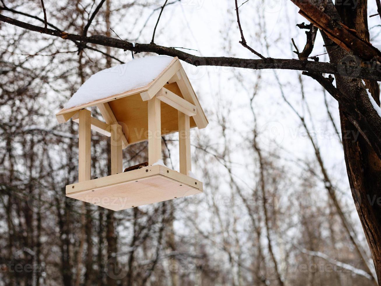 alimentador de pássaros no galho de árvore na floresta no inverno foto