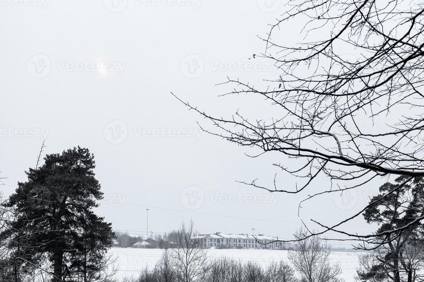 céu nublado cinza sobre campos de neve no inverno foto