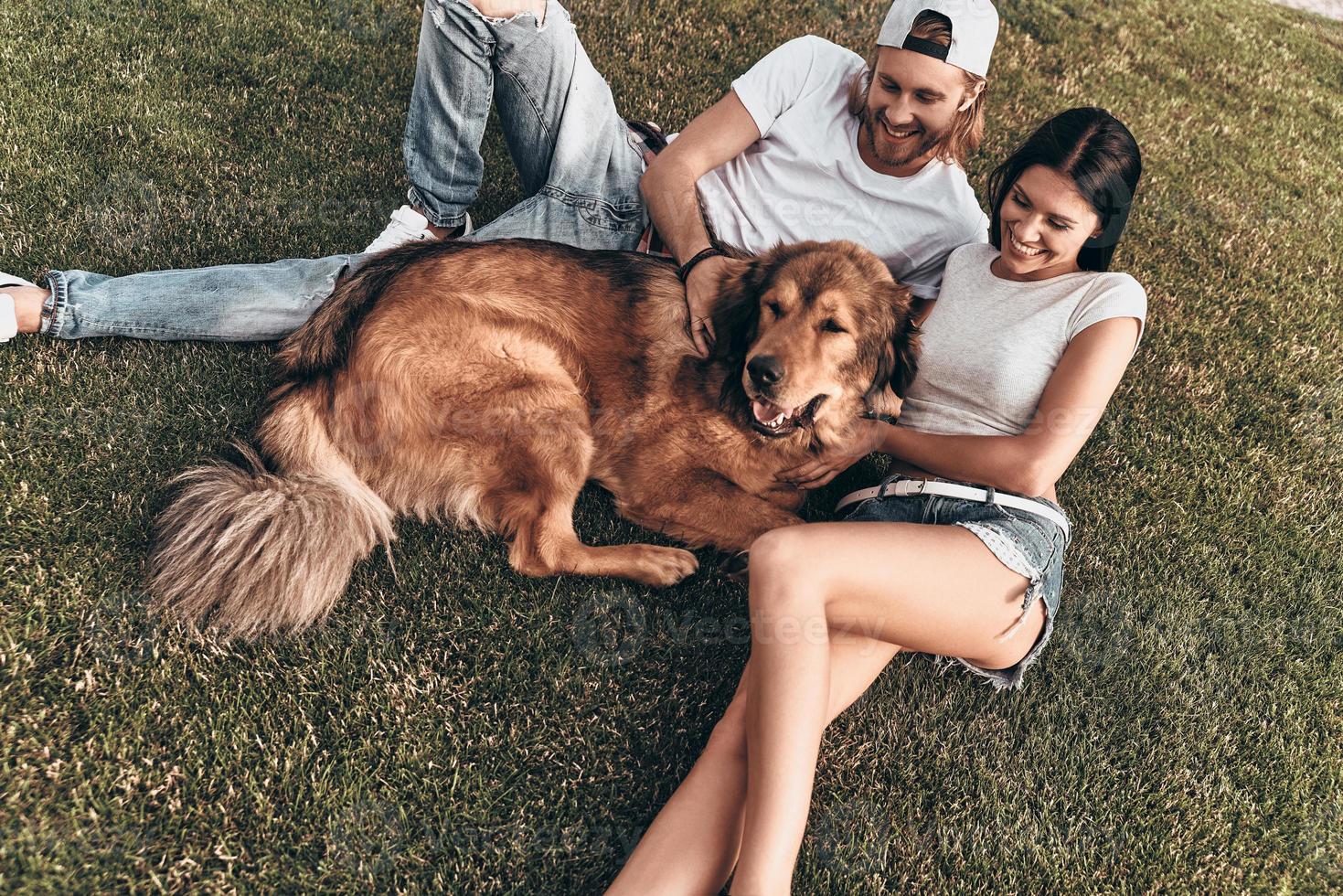 fazendo um ao outro feliz. vista superior do jovem casal moderno deitado na grama com seu cachorro enquanto passa o tempo livre no parque foto