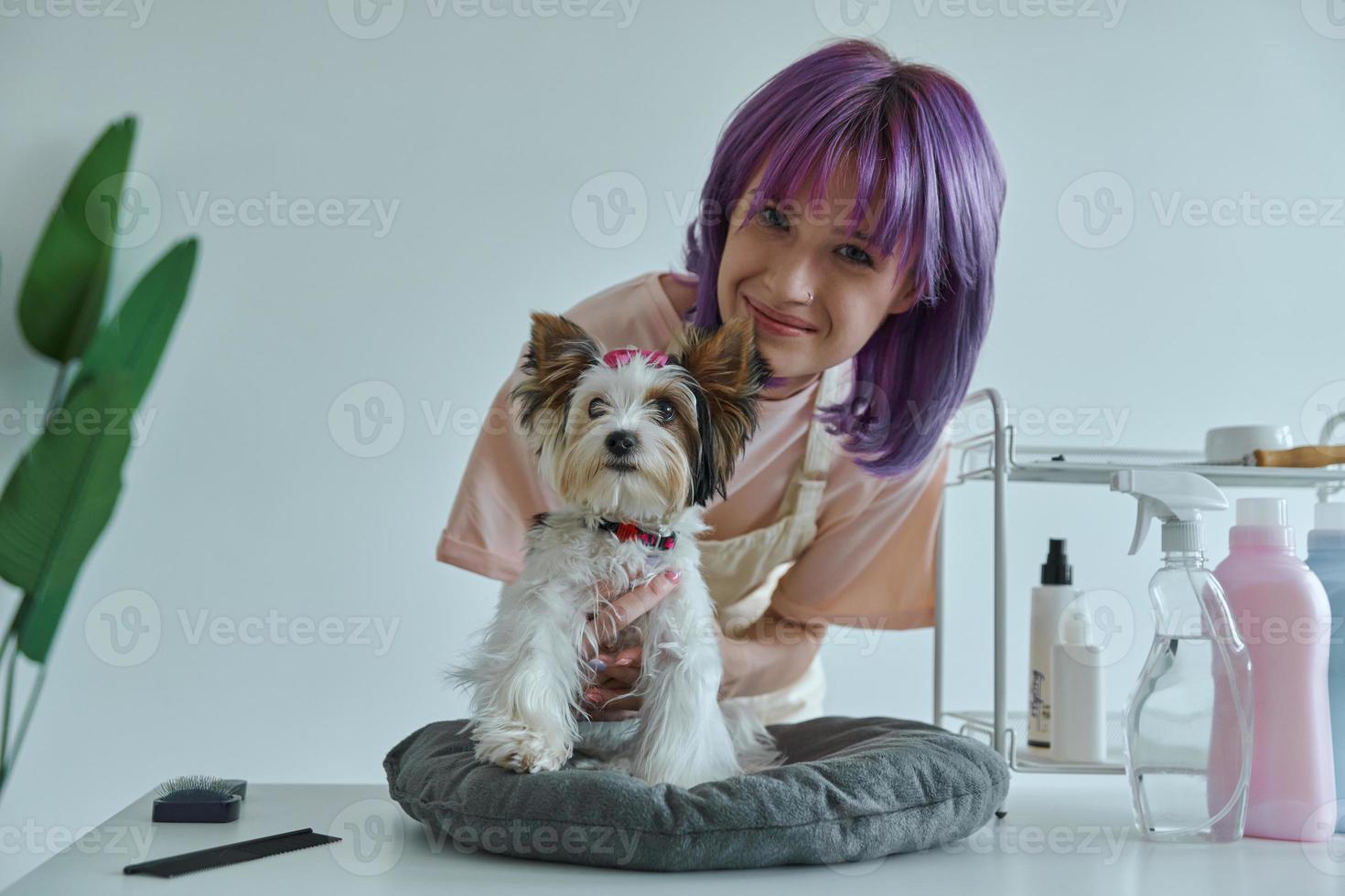 mulher jovem e atraente cuidando de cachorrinho no salão de beleza foto