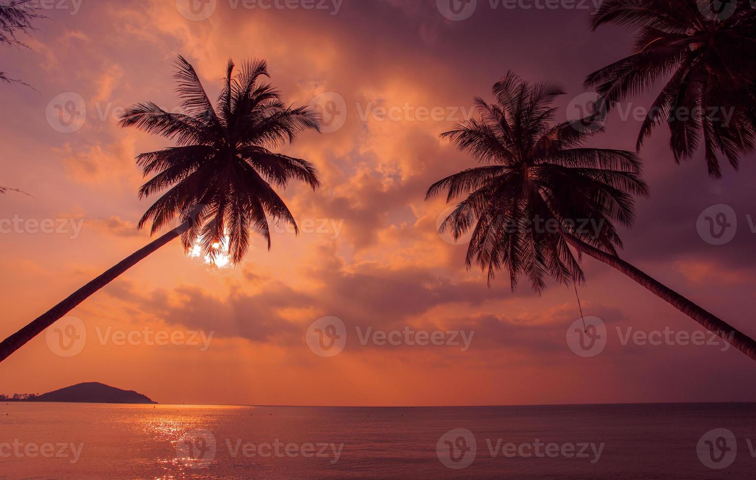 pôr do sol tropical. palmeiras do oceano pacífico. Tailândia. foto