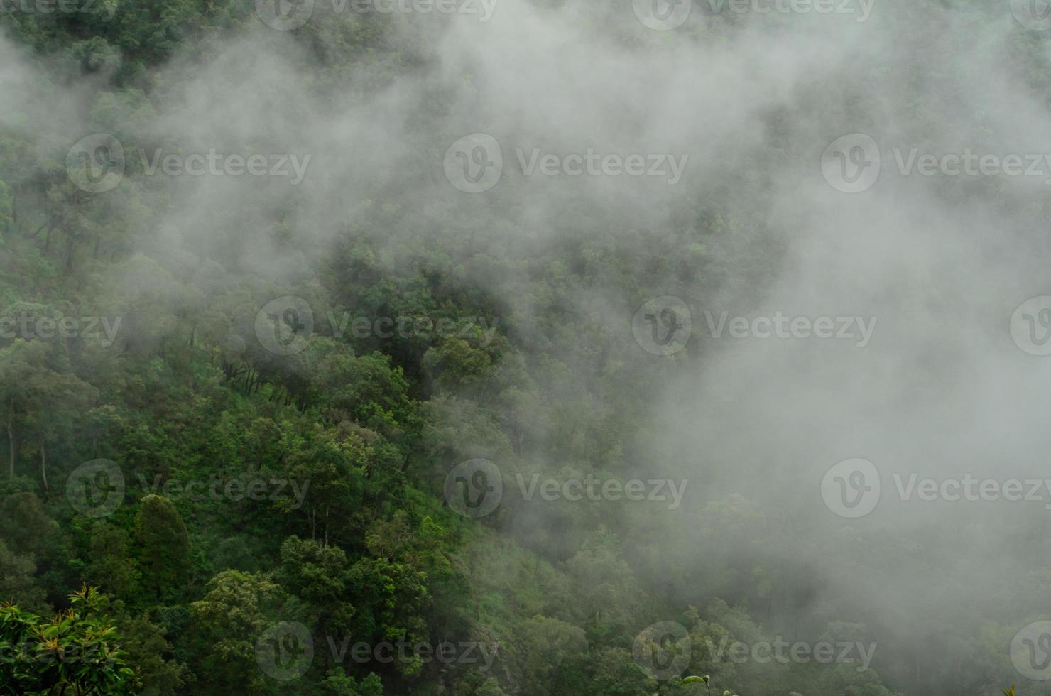 montanha no nevoeiro, chiang mai, tailândia foto