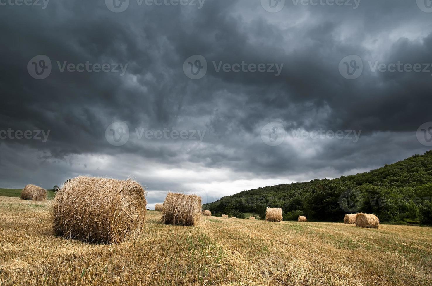 tempestade sobre o campo de cereais foto