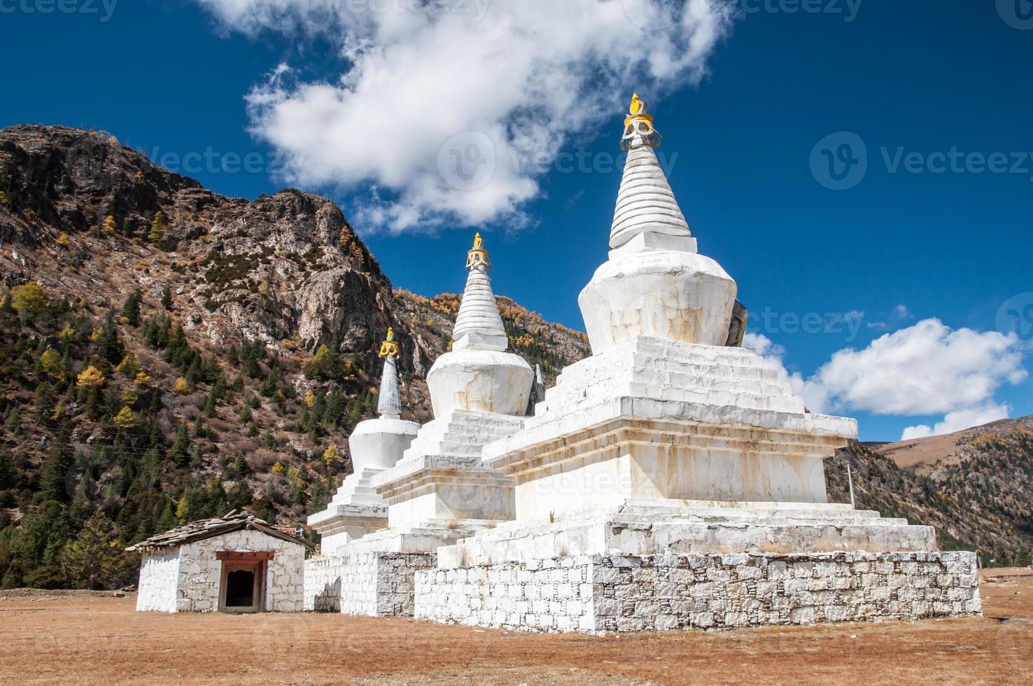 pagode tibetano foto