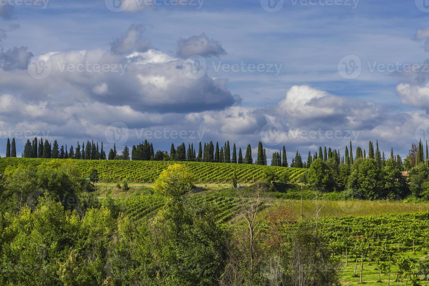 panorama das colinas na região de chianti, toscana (itália) foto