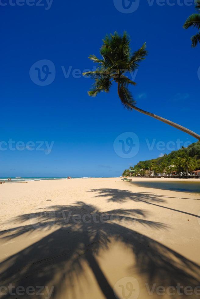 linda praia na praia da pipa brasil foto