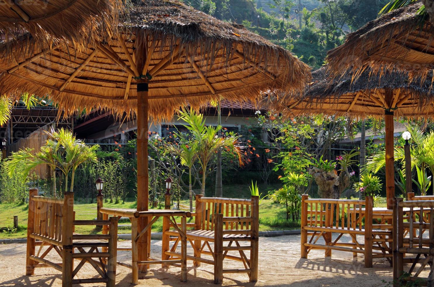 resort tropical com móveis e guarda-chuvas de cardo. foto
