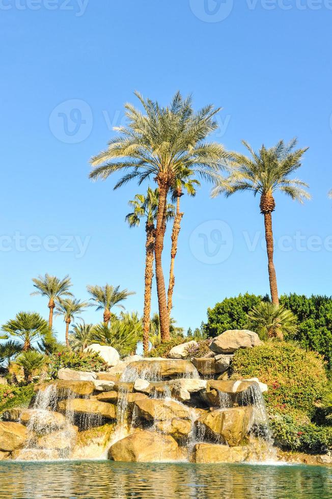 piscina de água com palmeiras em uma fileira foto