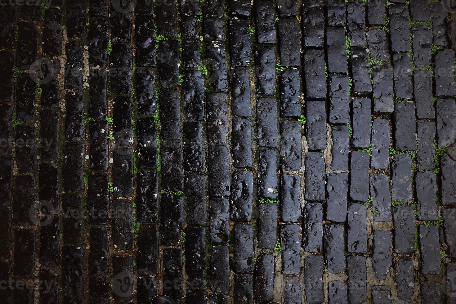 textura de madeira escura foto