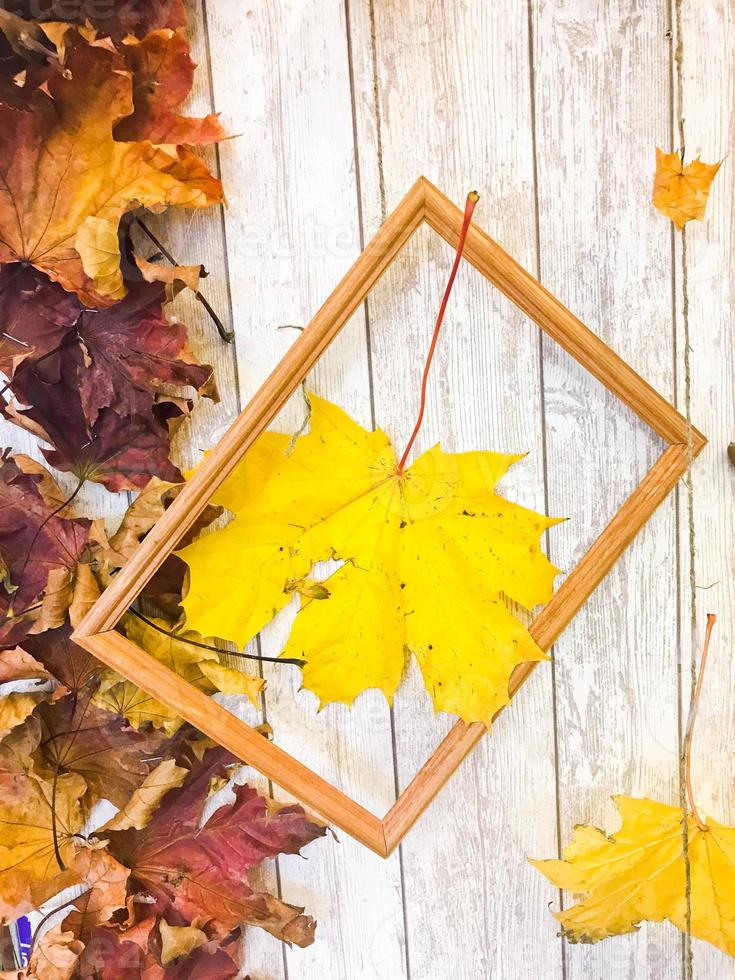 moldura retangular de madeira e folhas de outono naturais coloridas amarelas, maple no fundo de tábuas de madeira. o fundo. textura foto