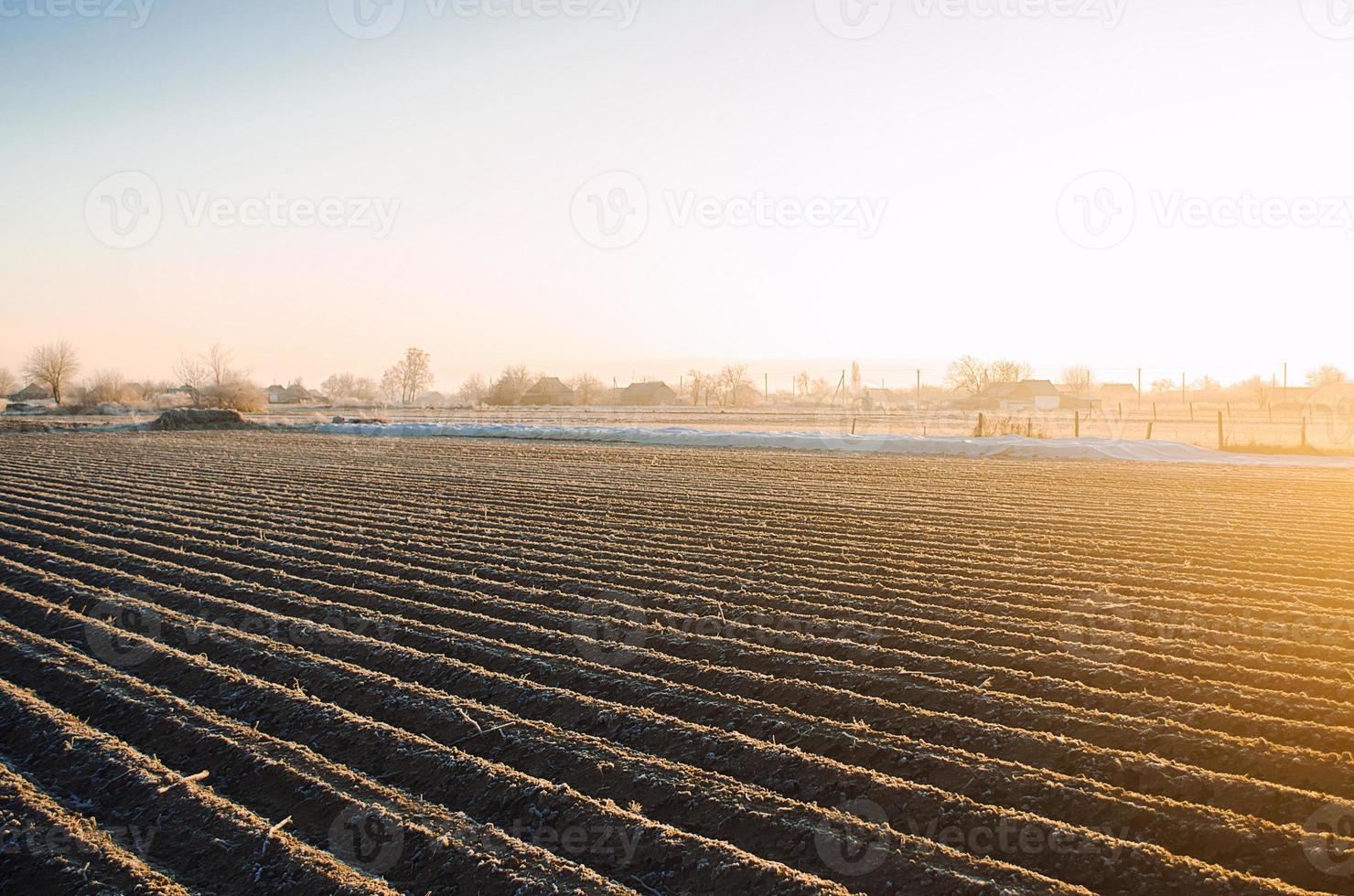 campo de fazenda de inverno pronto para nova temporada de plantio. trabalho agrícola preparatório para a primavera. escolher o momento certo para semear os campos plantar sementes, proteção contra as geadas da primavera. agricultura e agronegócio. foto