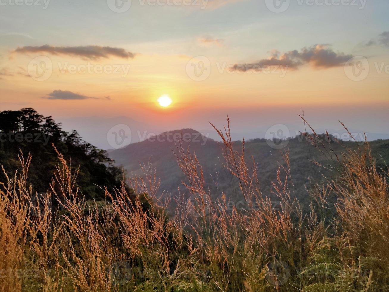 vale da montanha durante o nascer do sol. paisagem natural do verão foto