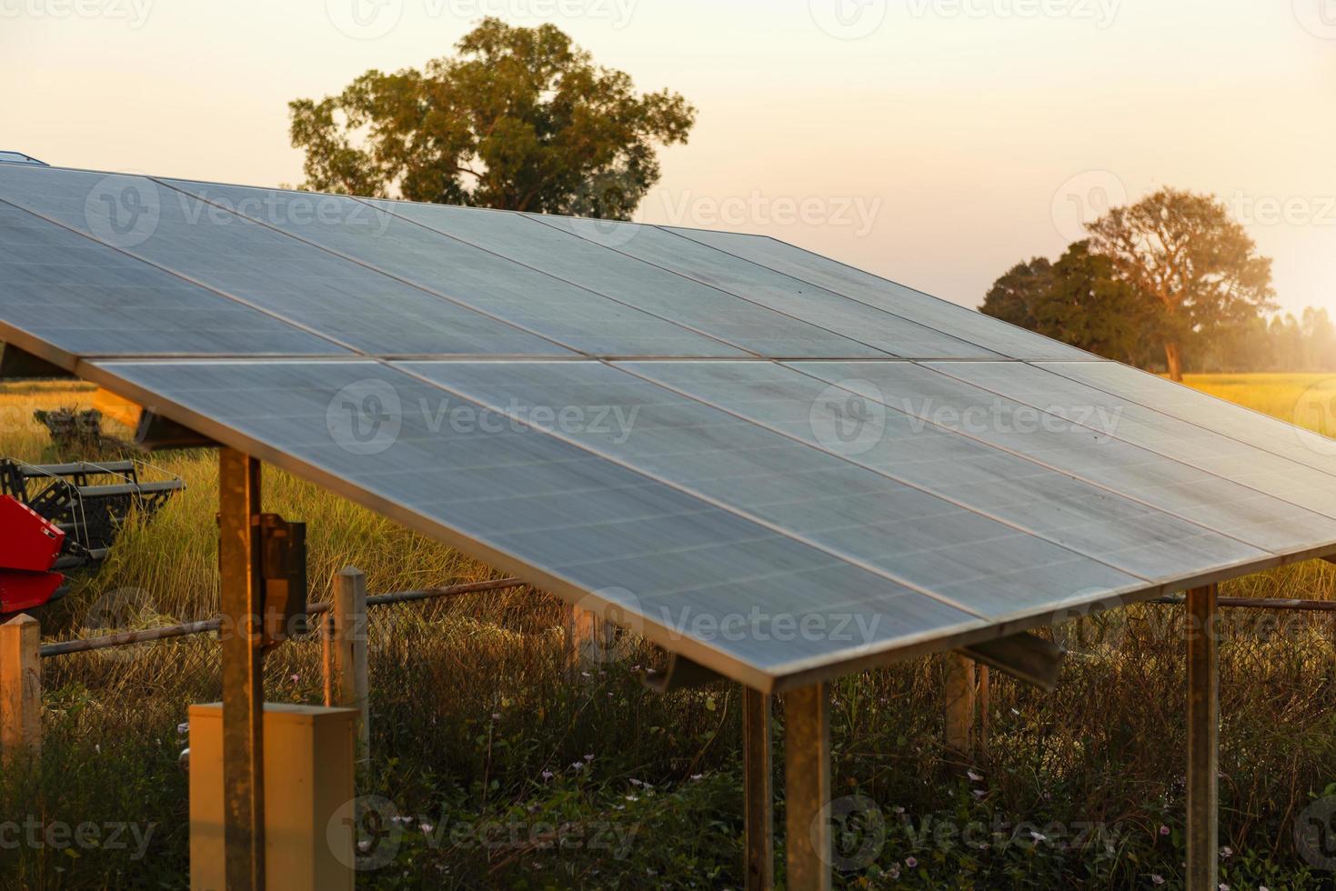 sistemas de fornecimento de energia fotovoltaica. painéis de energia solar. Planta de energia solar. a fonte de energia renovável ecológica. - imagem foto