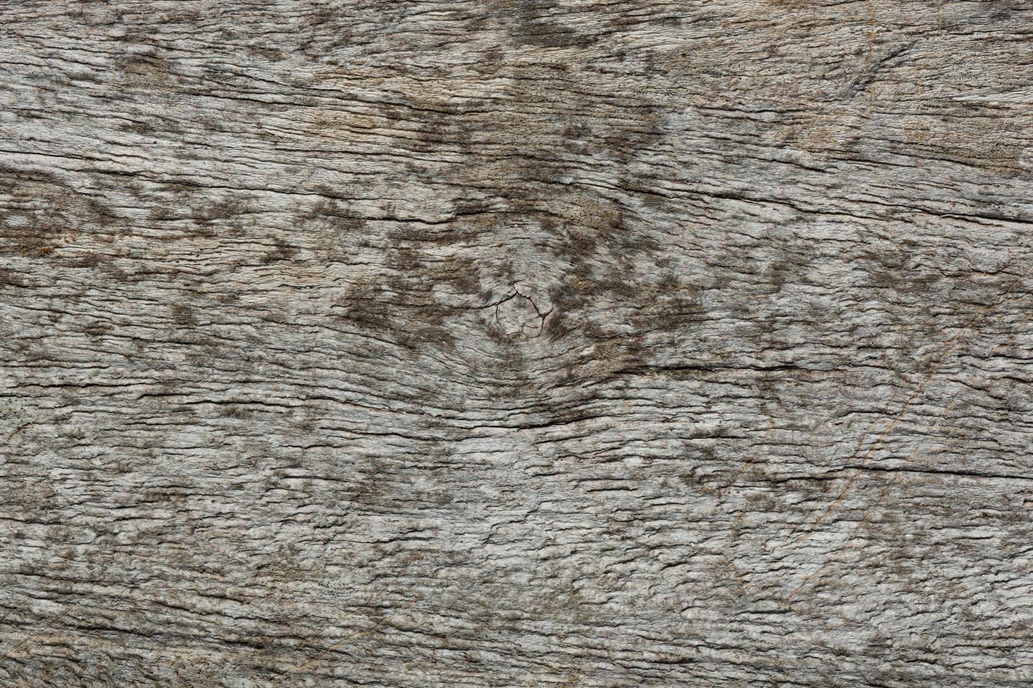 textura de madeira velha foto