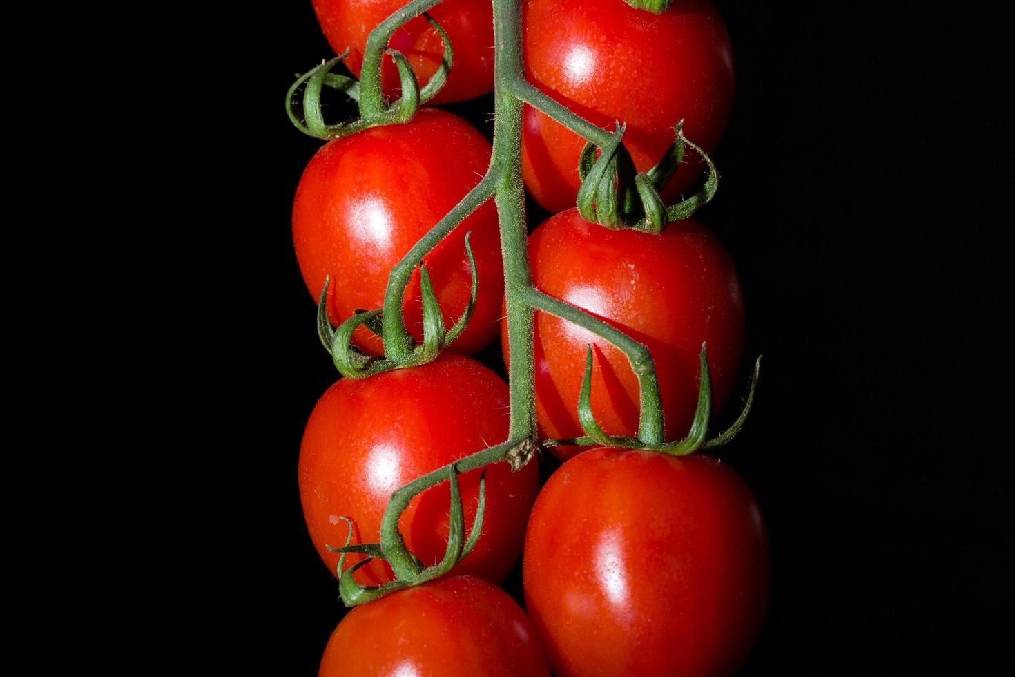 tomates em fundo preto foto