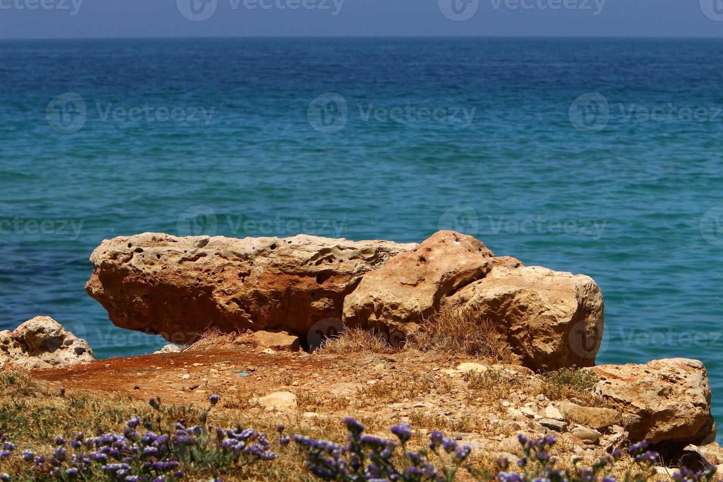 pedras em um parque da cidade à beira-mar no norte de israel foto