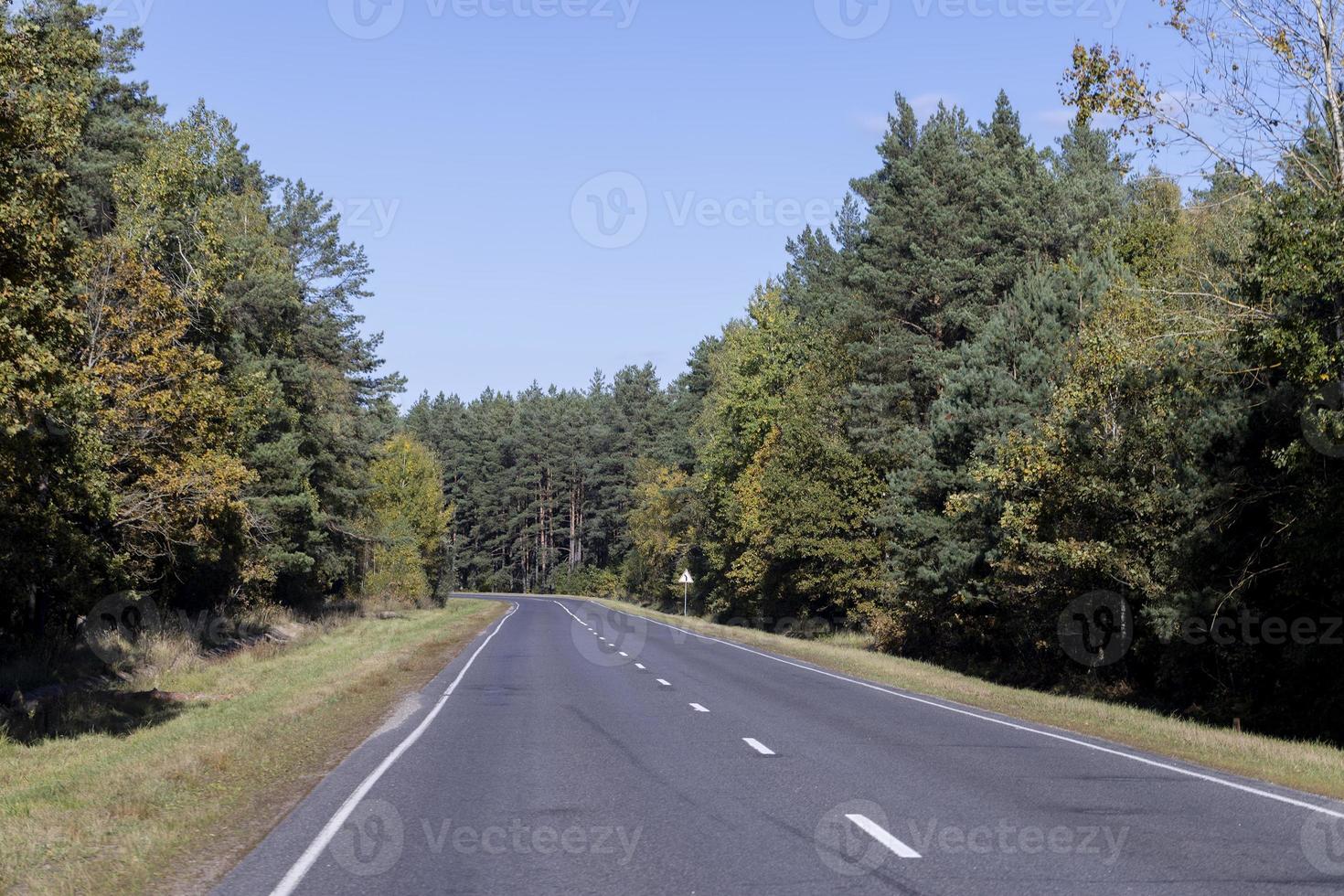 estrada pavimentada na temporada de outono em tempo ensolarado foto