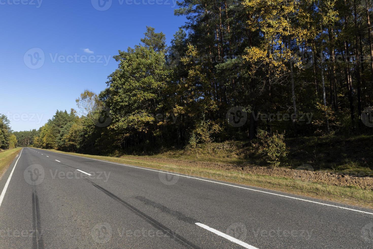 estrada pavimentada na temporada de outono em tempo ensolarado foto