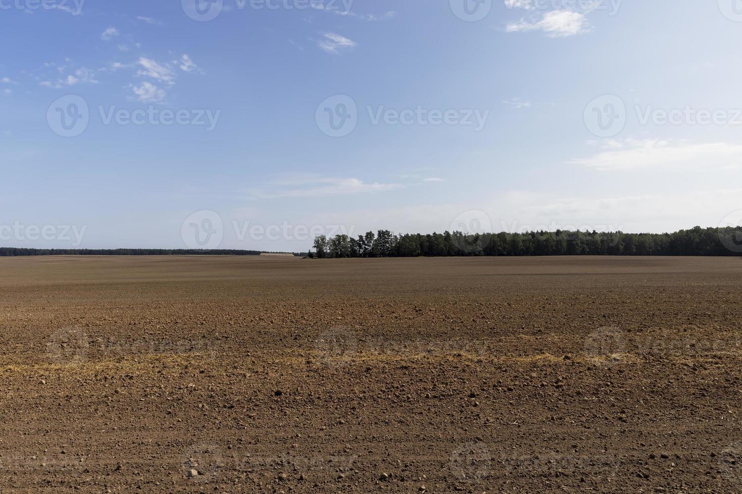 campo agrícola arado para semear grãos foto