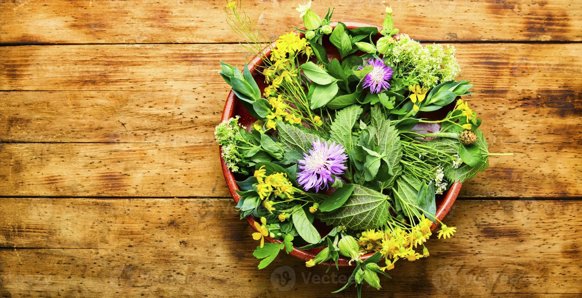 medicina natural, ervas frescas na mesa de madeira foto