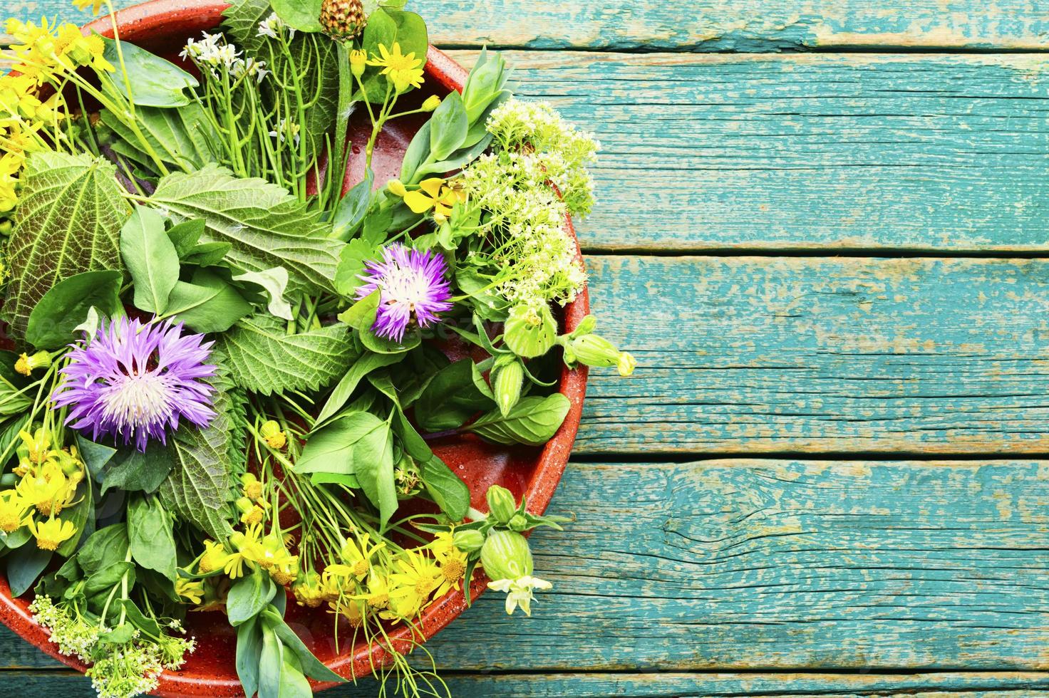 medicina natural, ervas frescas na mesa de madeira foto