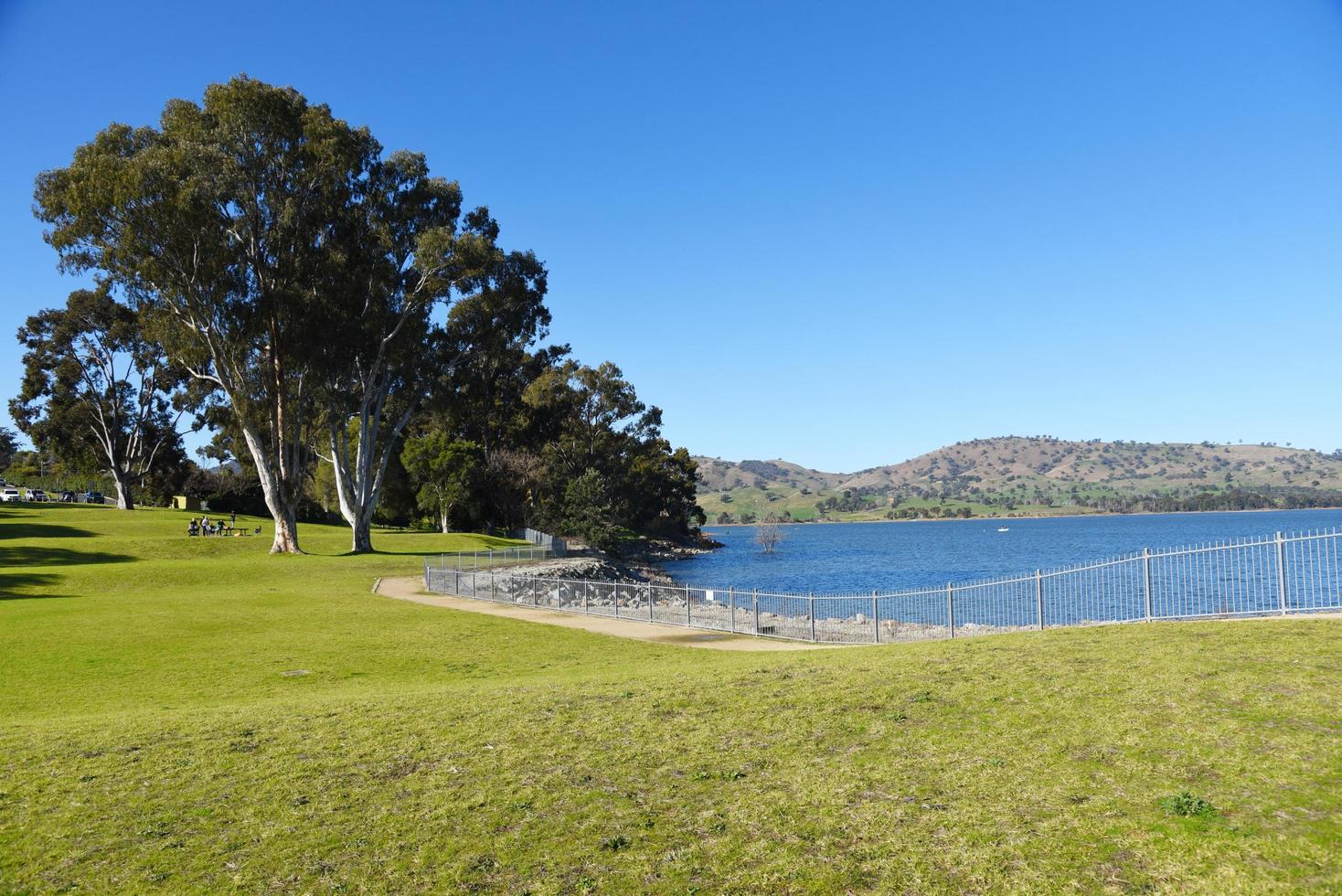 a área de piquenique verde com o rio murray ao fundo, é um rio no sudeste da austrália. é o rio mais longo da austrália com 2.508 km em albury, nsw. foto