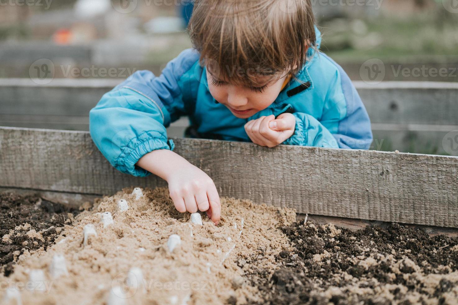semente planta jardim semear criança foto