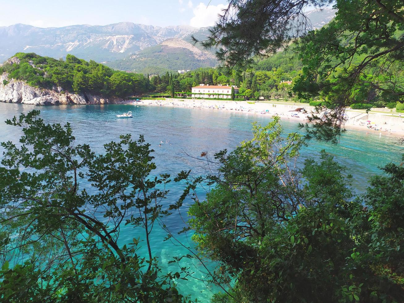 vista panorâmica da lagoa turquesa cercada por árvores coníferas foto